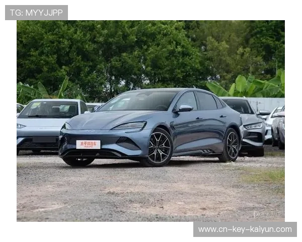 17.58万起！2025款海豹上市，配13个安全气囊+高阶智驾，又狠了